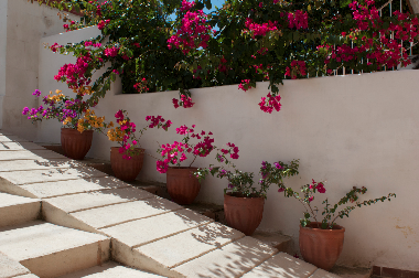 Cama y desayuno en La Habana (La Habana)Casa de vacaciones