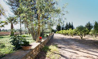 Fincaferien auf Mallorca. Finca Son Morey.4