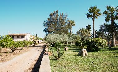 Fincaferien auf Mallorca. Finca Son Morey.5