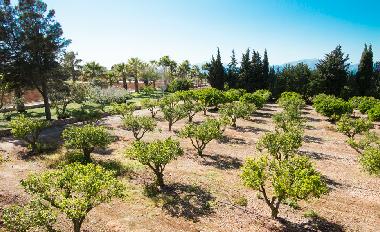 Fincaferien auf Mallorca. Finca Son Morey.21