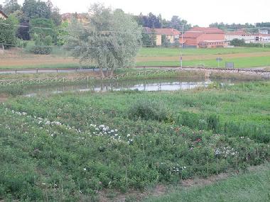 Casa de vacaciones en Arignano (Torino)Casa de vacaciones