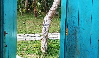 Villa en Dickwella (Gampaha)Casa de vacaciones