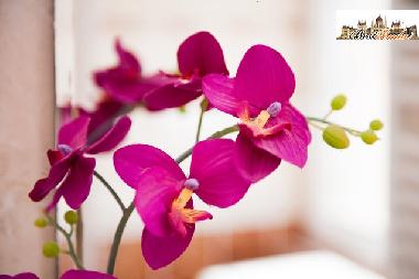 Apartamento de vacaciones en Budapest (Budapest)Casa de vacaciones