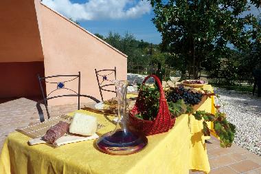 Casa de vacaciones en Morro d'Alba (Ancona)Casa de vacaciones