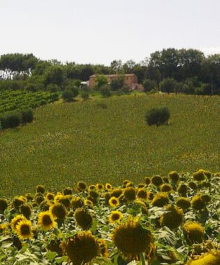 Casa de vacaciones en Morro d