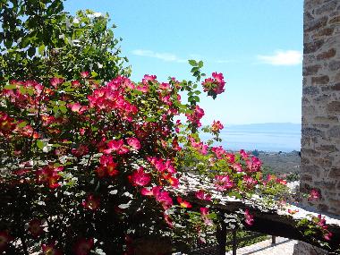 Casa de vacaciones en Ano Gatzea (Magnisia)Casa de vacaciones