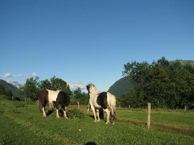 Casa de vacaciones en BREGINJ (Kobarid)Casa de vacaciones