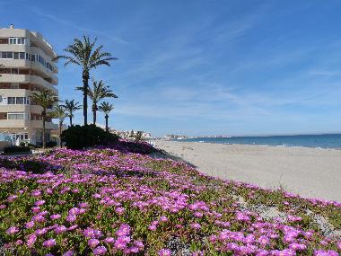 Apartamento de vacaciones en Roda  (Murcia)Casa de vacaciones