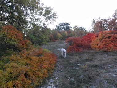 Casa de vacaciones en Sezana (Sezana)Casa de vacaciones