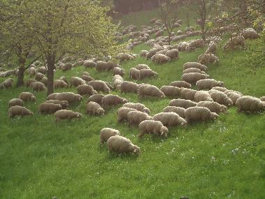 Casa de vacaciones en Lalaye-Charbes (Bas-Rhin)Casa de vacaciones