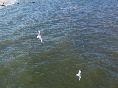 Apartamento de vacaciones en Beckerwitz (Mecklenburgische Ostseek�ste)Casa de vacaciones