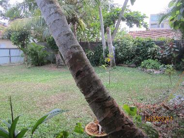 Casa de vacaciones en Dodanduwa (Galle)Casa de vacaciones