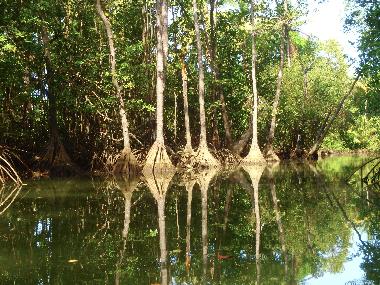 Villa en Dominical (Puntarenas)Casa de vacaciones