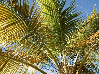 Apartamento de vacaciones en Curacao (Curacao)Casa de vacaciones