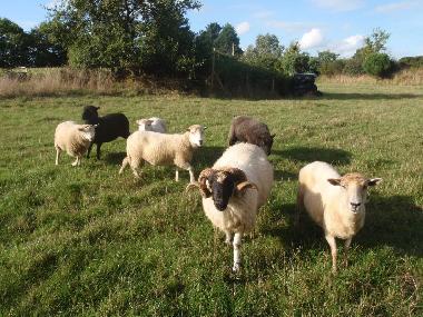 Casa de vacaciones en Plouz�lambre (C�tes-d