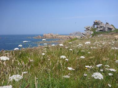 Casa de vacaciones en Plouz�lambre (C�tes-d