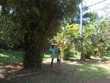 Casa de vacaciones en Moragalla (Kalutara)Casa de vacaciones