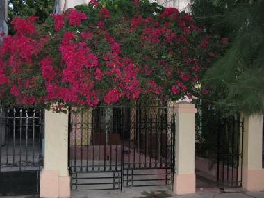 Casa de vacaciones en Vedado (La Habana)Casa de vacaciones