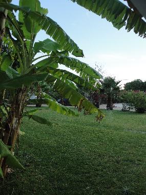 Villa en Algoz (Algarve)Casa de vacaciones