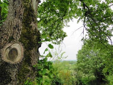 Casa de vacaciones en Lalandusse (Lot-et-Garonne)Casa de vacaciones