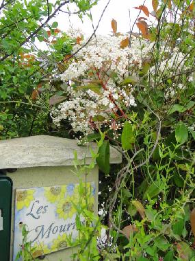 Casa de vacaciones en Lalandusse (Lot-et-Garonne)Casa de vacaciones