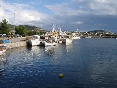 Apartamento de vacaciones en N.Artaki (Evvoia)Casa de vacaciones