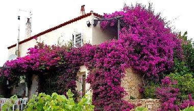 Casa de vacaciones en Baja Sardinia (Sassari)Casa de vacaciones