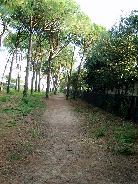 Casa de vacaciones en Cavallino-Treporti (Venezia)Casa de vacaciones