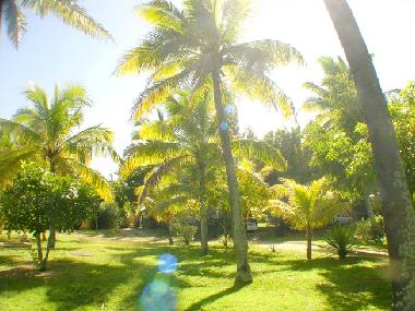 Casa de vacaciones en Grand Baie (Pamplemousses)Casa de vacaciones