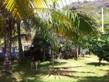 Apartamento de vacaciones en Saman (Samana)Casa de vacaciones
