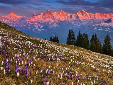Apartamento de vacaciones en B�nigen/Interlaken (Interlaken - Jungfrau)Casa de vacaciones