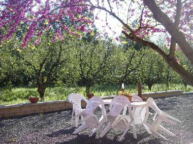 Apartamento de vacaciones en Bibbona (Livorno)Casa de vacaciones