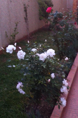 Apartamento de vacaciones en Asilah (Tanger)Casa de vacaciones