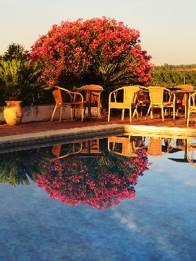 Villa en Lora del Rio (Sevilla)Casa de vacaciones