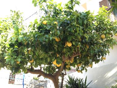 Casa de vacaciones en Ano Vathi (Samos)Casa de vacaciones