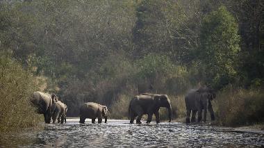 Cama y desayuno en SAHAURA (Narayani)Casa de vacaciones