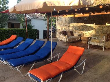 Tumbonas y sombrillas