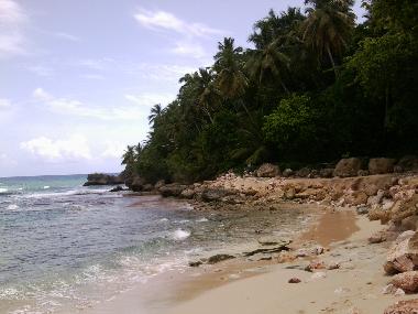 Apartamento de vacaciones en Cabarete (Puerto Plata)Casa de vacaciones