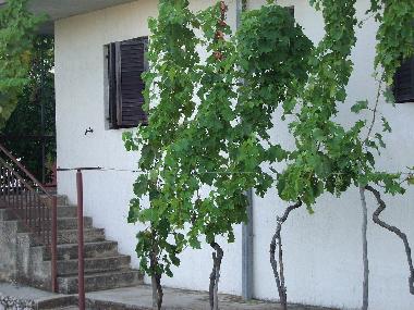 Casa de vacaciones en Poljica (Splitsko-Dalmatinska)Casa de vacaciones