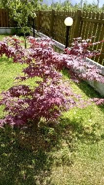 Casa de vacaciones en Bolzano (Bolzano-Bozen)Casa de vacaciones