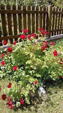 Casa de vacaciones en Bolzano (Bolzano-Bozen)Casa de vacaciones