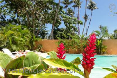 Apartamento de vacaciones en Las Terrenas Centro (Samana)Casa de vacaciones