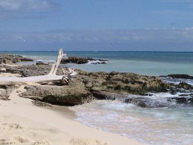 Cama y desayuno en Playa del Carmen (Quintana Roo)Casa de vacaciones