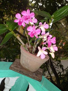 Apartamento de vacaciones en Beruwala (Kalutara)Casa de vacaciones