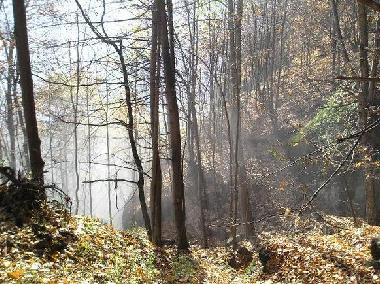 Apartamento de vacaciones en Viganella (VB) (Verbano-Cusio-Ossola)Casa de vacaciones