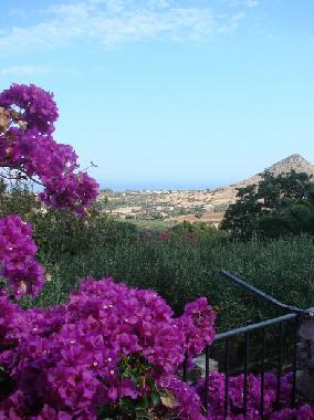 Villa en Castellammare del Golfo (Trapani)Casa de vacaciones