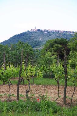 Apartamento de vacaciones en Secovlje (Piran)Casa de vacaciones