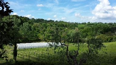 Apartamento de vacaciones en Montemerano (Grosseto)Casa de vacaciones