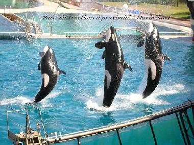 Apartamento de vacaciones en Thoule sur Mer (Alpes-Maritimes)Casa de vacaciones