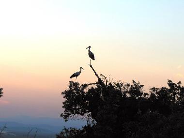 Villa en Botevo (Yambol)Casa de vacaciones